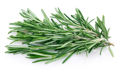 Fototapeta premium Fresh rosemary on white background
