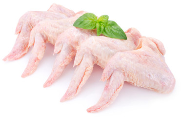 Raw chicken wings on white background
