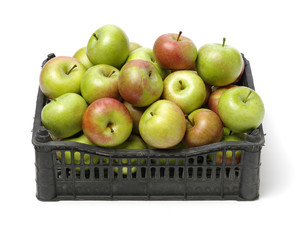 Fresh red and yellow apples 
