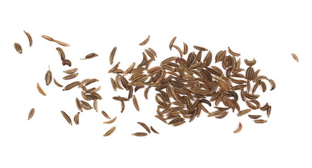 Cumin, caraway seeds isolated on white background, top view