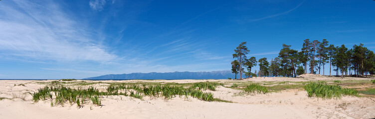 Fototapeta na wymiar Beautiful panorama of Lake Baikal with white sand and pines, Siberia Russia