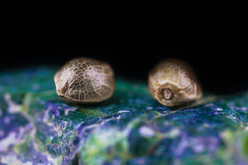 HDR Macro Photo of Medical Cannabis Seeds on the Colored Crystals Rock - Full Frame Picture.