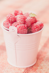 Pink raspberry bucket. Sweet summer berries. Raspberry berry. Garden raspberry berry.