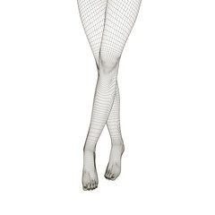 Wireframe of slender crossed female legs. Front view. Polygonal female legs 3D. Vector illustration