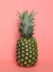 Pineapple tropical fruit on a coral  background. Tropical background for design.