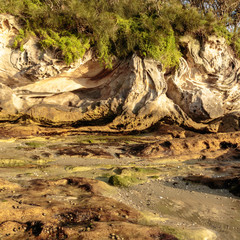 A rock face between shore and vegetation at Nielsen Park, Sydney Harbour National Park, Sydney, Australia during a morning of April 2019