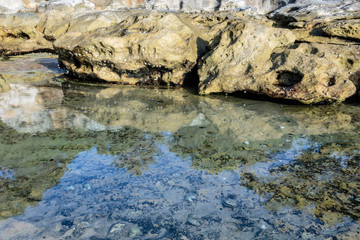 Rocks reflected in a rock pool on the shore at Nielsen Park, Sydney Harbour National Park, Sydney, Australia during a morning of April 2019