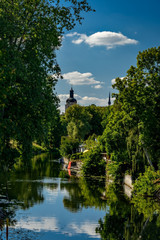 Natur in der Stadt: die 