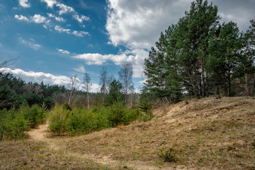 Vorfrühling am Wilhelmshagen-Woltersdorfer Dünenzug in Berlin