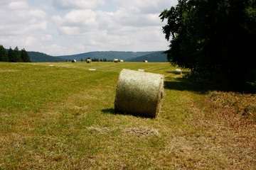 Hay harvest in the mountains