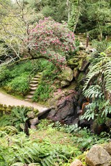 Path between green vegetation in a garden