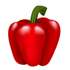 Red bell pepper on white isolated background.