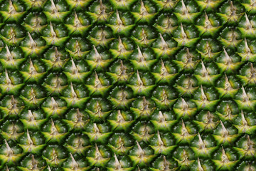 Pineapple peel a solid background without seams in green