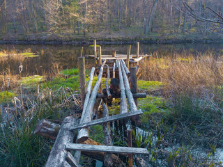 Old dilapidated pier on a forest lake