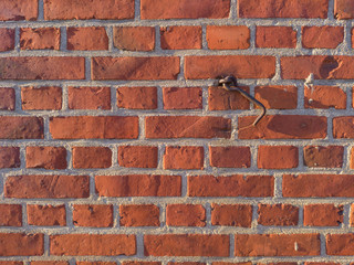 Old red brick wall with a rusty lock