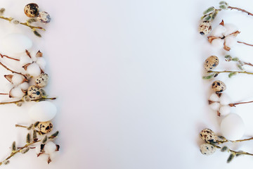 Easter eggs on a white background with a sprig of willow