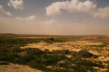 Israeli desert