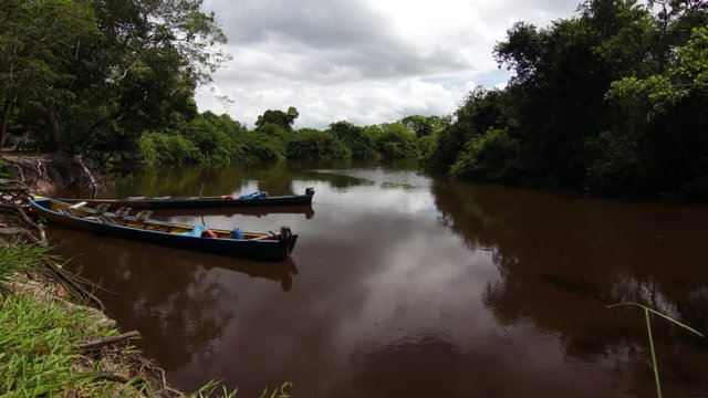 Time lapse of two typical small canoas moored on the coast of the Amazon River in Bolivia, surrounded by trees and bushes, on a cloudy day