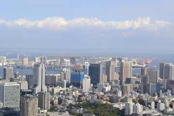 Fototapeta premium Tokyo Cityscape Photo