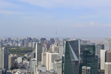 Fototapeta na wymiar Tokyo Cityscape Photo