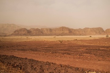 Israeli desert