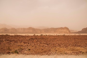 Israeli desert