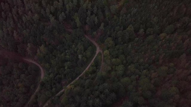 Drone Aerial Bird View of Evergreen Tree Fields and Hiking Trail on Scharzwald Black Forest Mountain Range in Southwest Germany 4k