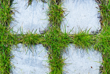 Nature and urban concept: Green growing grass between paving tiles, texture background.