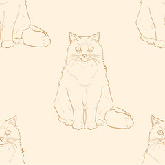 Seamless pattern for children cartoon on a yellow background. Pet. Siamese cat or Siberian color Nevsky Masquerade. sandy retro color. Raster