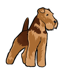 vector illustration of a dog