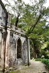 Ancient stone ruins in a leafy garden of Sintra