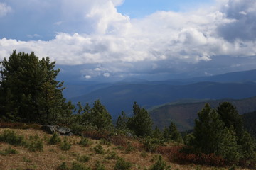 landscape with trees and blue sky