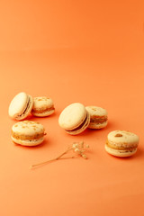  handmade macaron on beautiful background