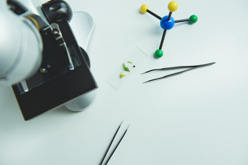 Microscope with instrumets and sprouts isolated on white background