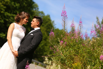 Beautiful wedding couple posing in nature