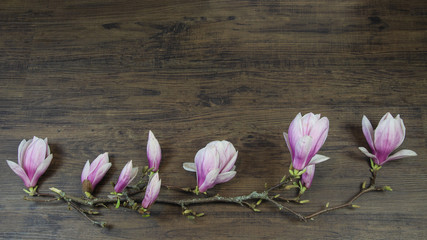 Wunderschöne Magnolien Holz Hintergrund