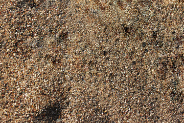 Sand texture. Sandy beach for background. summer concept. Top view.
