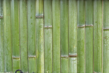 竹 - Japanese fresh green bamboo wall background