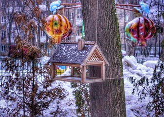 Bird's feeder in attraction park