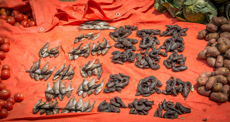 Rats and fish dry in the market Zambia Africa