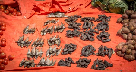 Foto op Aluminium Rats and fish dry in the market Zambia Africa © Blackbookphoto