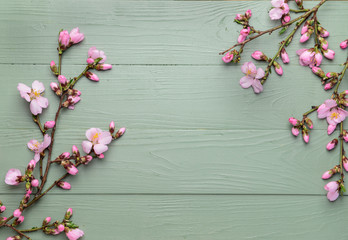 Beautiful blossoming branches on wooden background