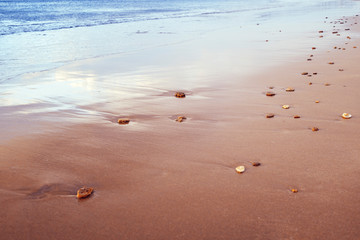 sandy sea shore with pebbles