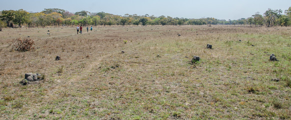 People Africa plane grass Zambia