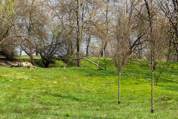 Park of Polish Pilots in Krakow