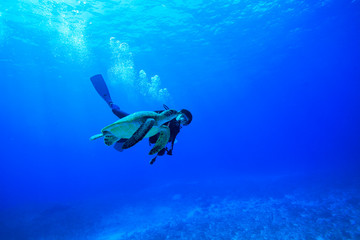 小笠原の海でアオウミガメと泳ぐダイバー
