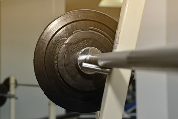 barbell in the gym