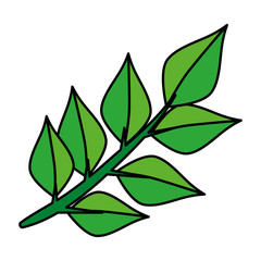 ecology leafs plant icon