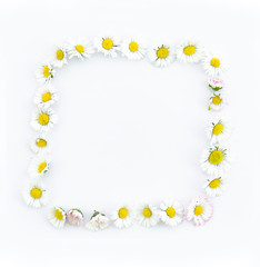Obraz premium Summer frame made of chamomile on white background. Flat lay, top view with space for lettering or banner