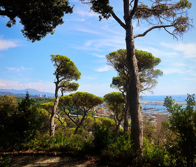 Mediterranean garden with beautiful landscape of the coast and the Ligurian sea framed by high...